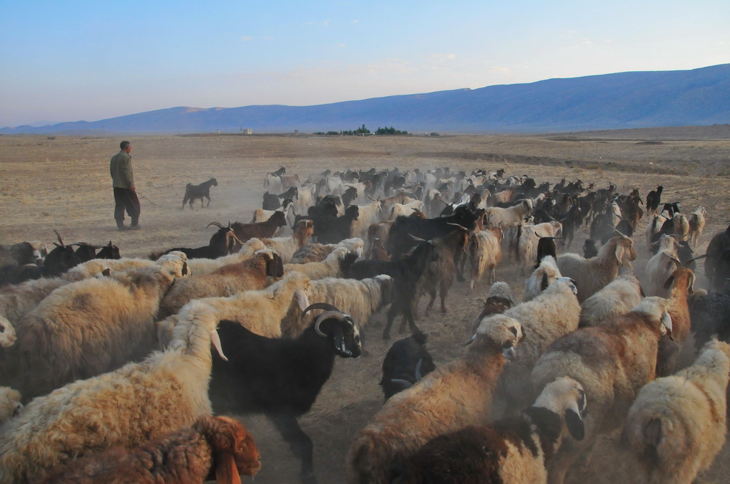 Nomad Camp, Shiraz Region